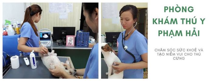 Hình ảnh Phòng Khám Thú Y Phạm Hải
