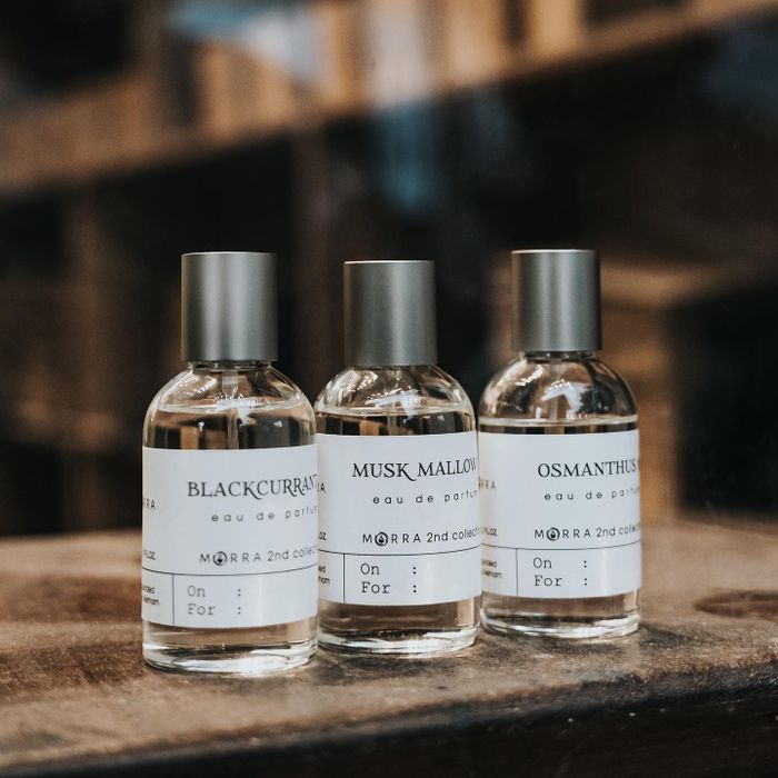 Hình ảnh 1 của Morra Việt Nam