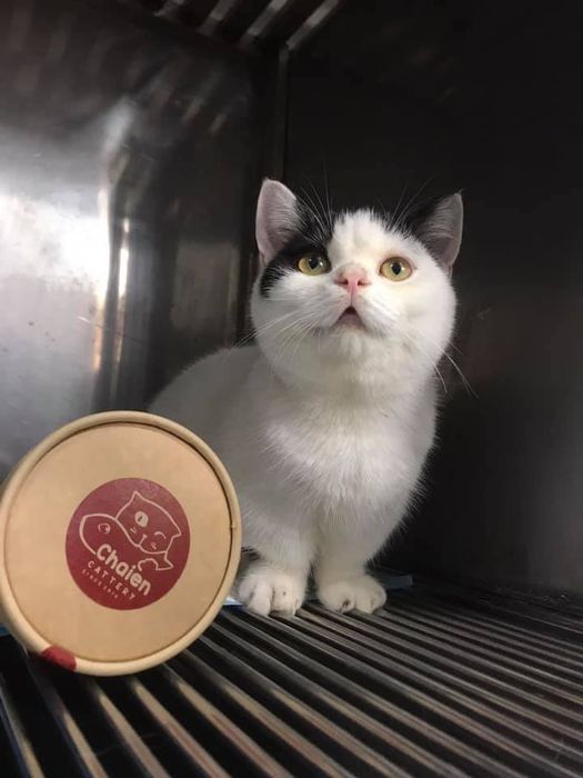 Hình ảnh 2 của Vet - Care Cần Thơ