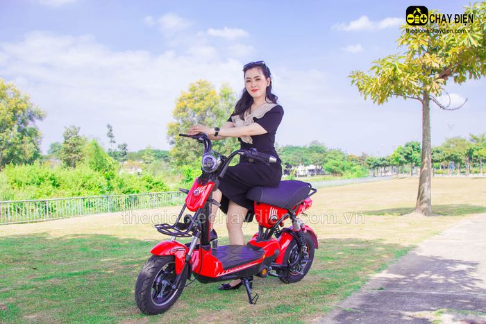 Hình ảnh Thế Giới Xe Chạy Điện 3