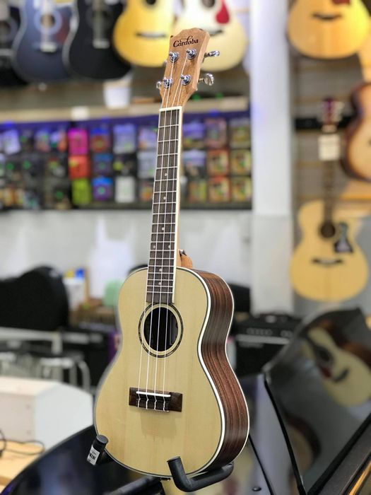 Hình ảnh 2 của SOL MUSIC