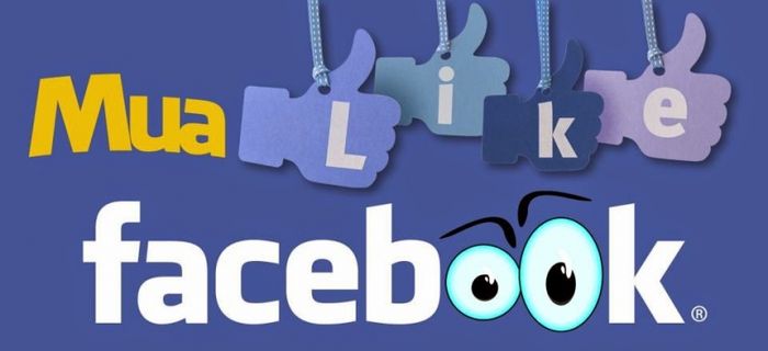 Dịch vụ tăng like giá rẻ Mặt Trời Việt hình ảnh 1