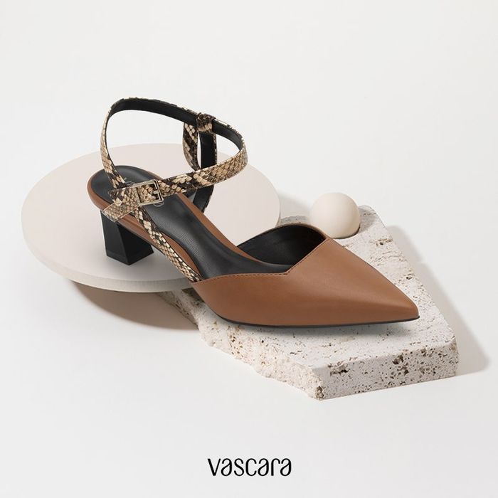 Hình ảnh Vascara 2