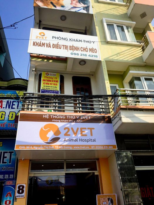 Phòng Khám Thú Y 2Vet - Hải Dương hình ảnh 1