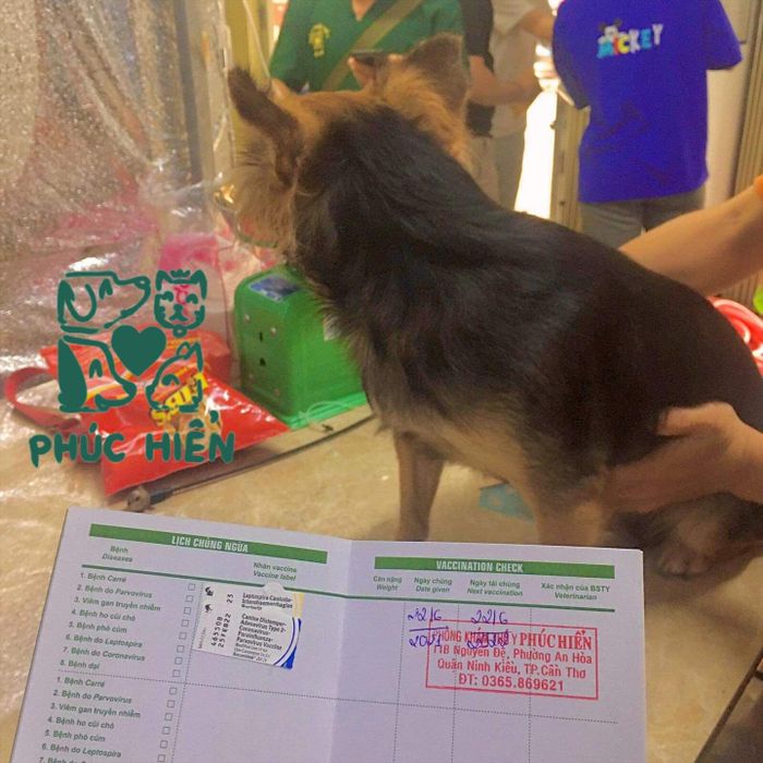 Hình ảnh Phòng Khám Thú Y Phúc Hiển 2