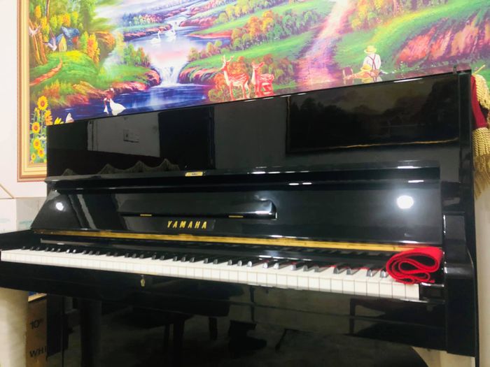 Hình ảnh 1 Trung Tâm Âm Nhạc Arista Music Center