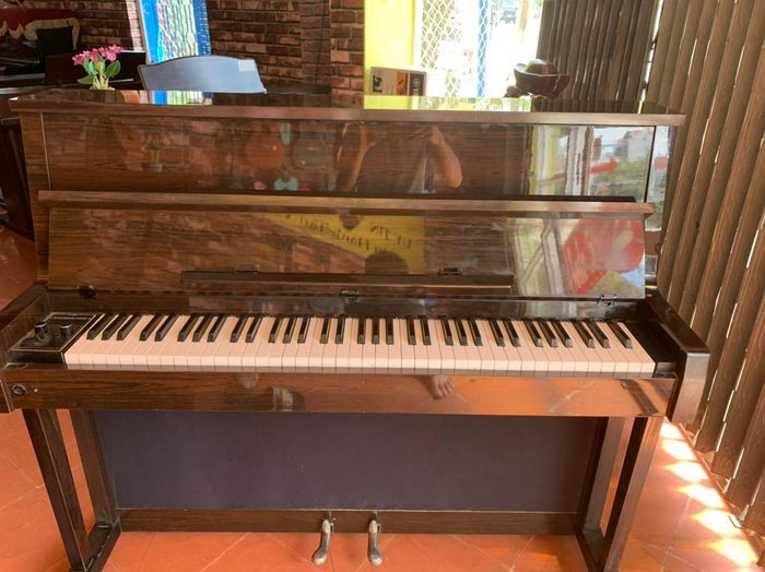 Hình ảnh 1 của NHẠC CỤ MELODY
