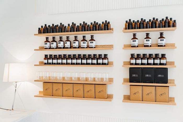 Hình ảnh 2 của Morra Việt Nam