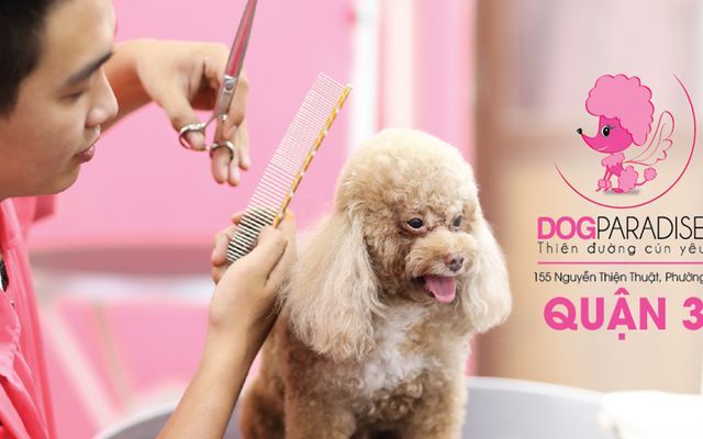 Hình ảnh Dog Paradise 1