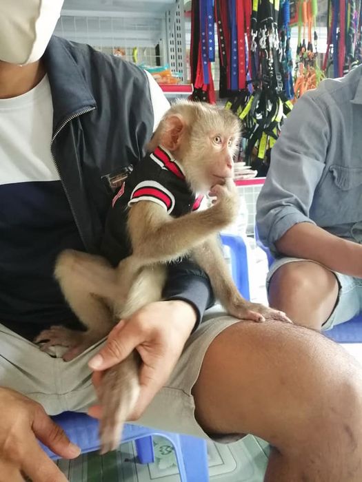 Hình ảnh 1 của Phòng Khám Thú y MY PET – Quảng Ngãi