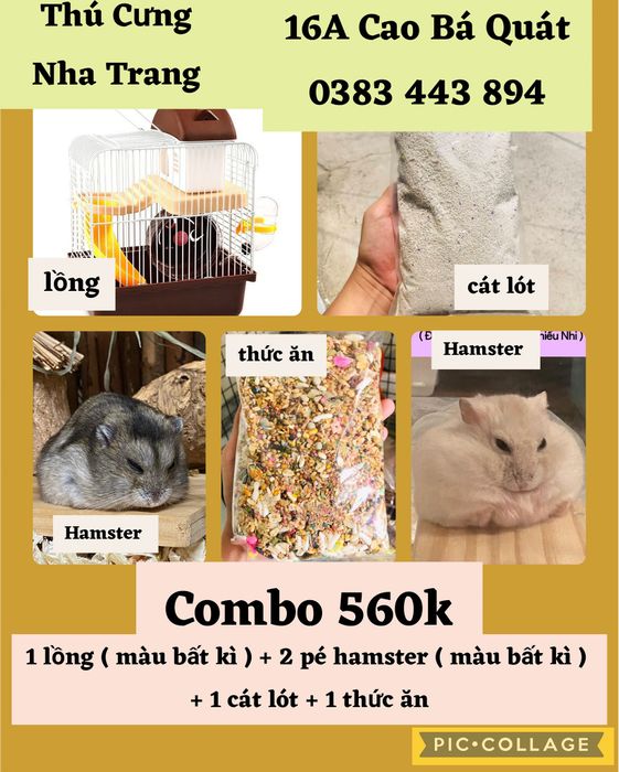 Hamster Shop Nha Trang hình ảnh 1