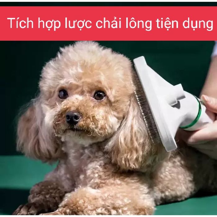 Hình ảnh Máy Sấy Lông Chó Kết Hợp Lược 1