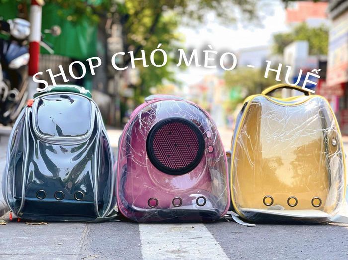 Hình ảnh 2 của Shop Chó Mèo - Huế