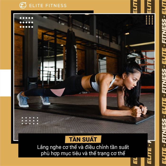 Ảnh Elite Fitness 1