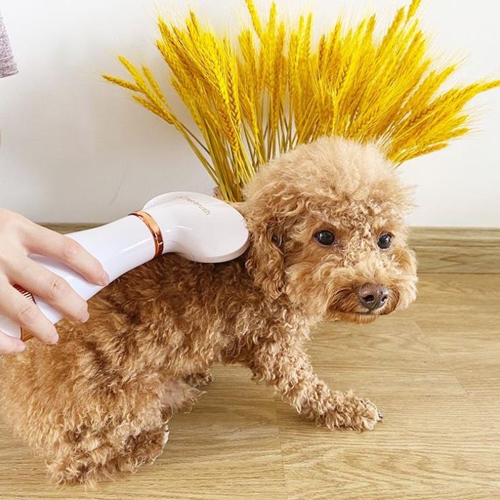 Hình ảnh Máy Sấy Lông Chó PH820 1