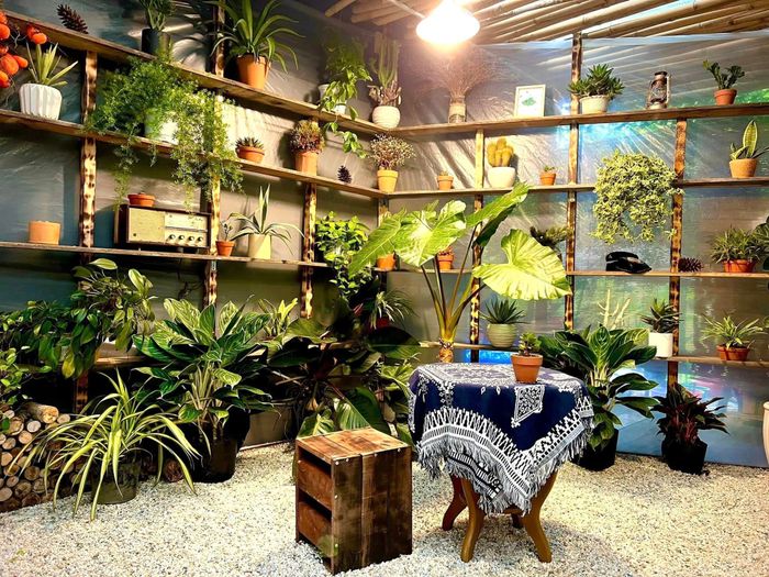 Hình ảnh 2 của Quán Cafe Mokuzo