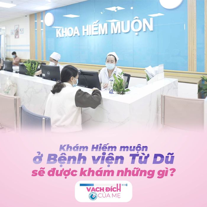 Bệnh viện Từ Dũ - Hình ảnh 2