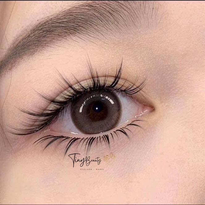 Hình ảnh Tiny Beauty số 2