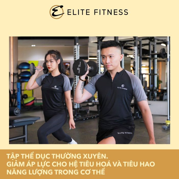Ảnh Elite Fitness 2