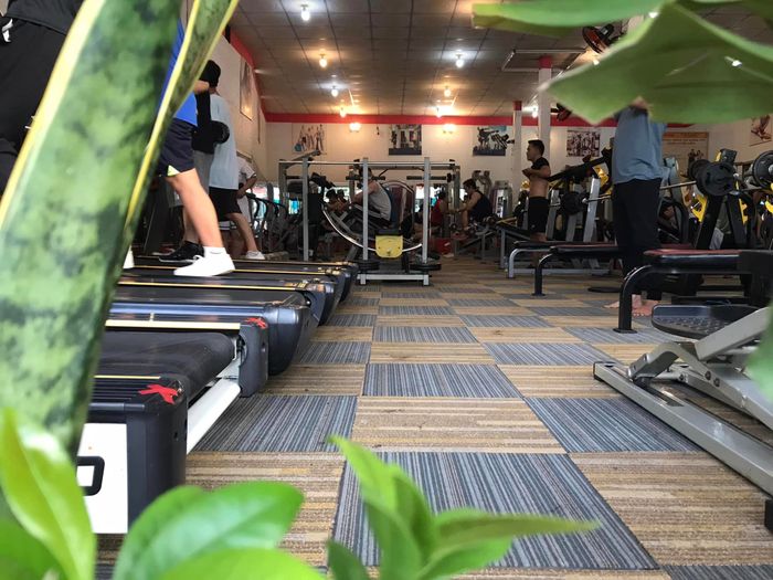 Hình ảnh Nguyễn Gym 2