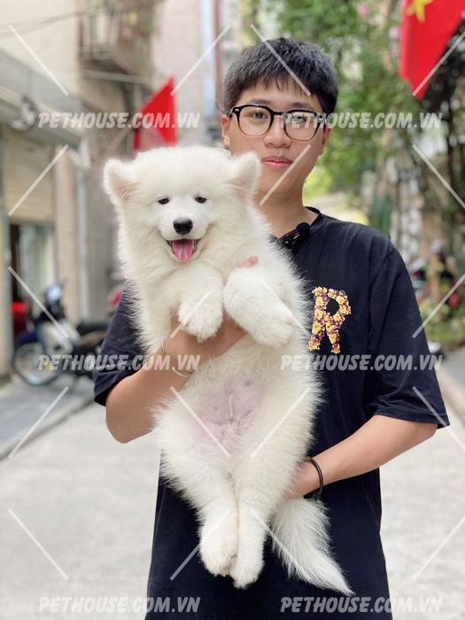 Hình minh họa (Nguồn từ internet) - Ảnh 1