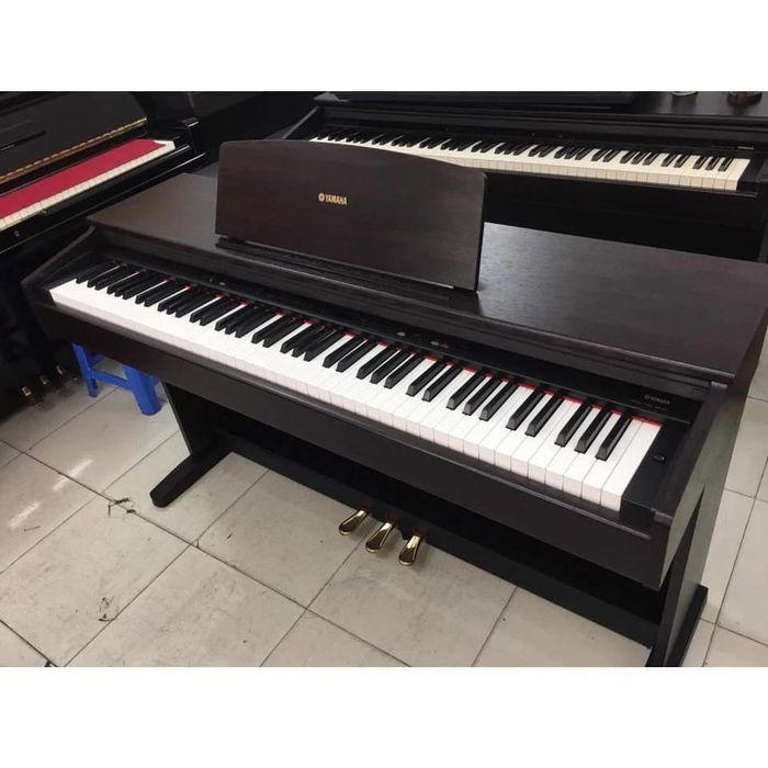 Hình ảnh Trung Tâm Âm Nhạc Sầm Sơn 1