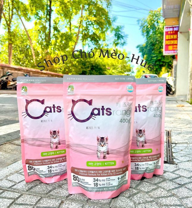 Hình ảnh 1 của Shop Chó Mèo - Huế