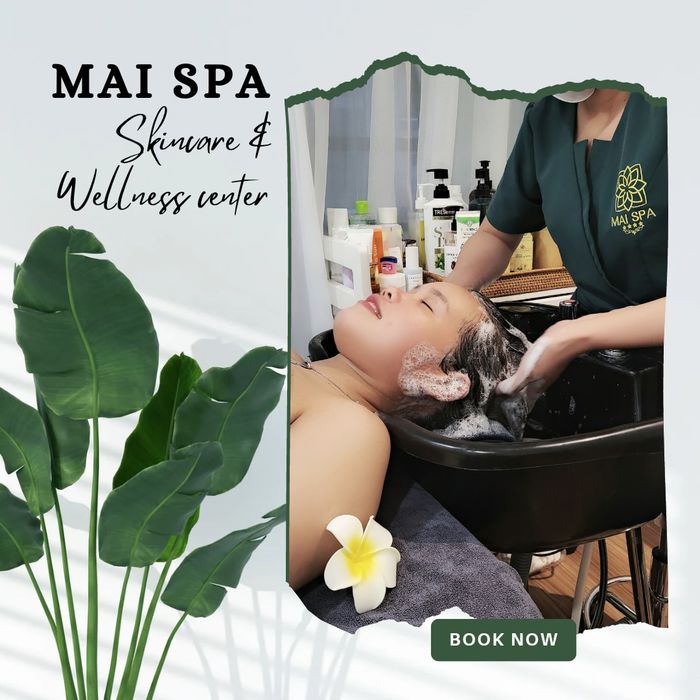 Spa Mai hình 1