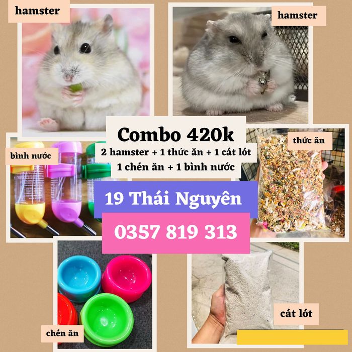Hình ảnh 2 của BỤI Hamster Nha Trang