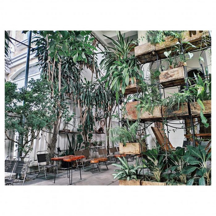 Hình ảnh 1 của Le Cafe Nha Trang