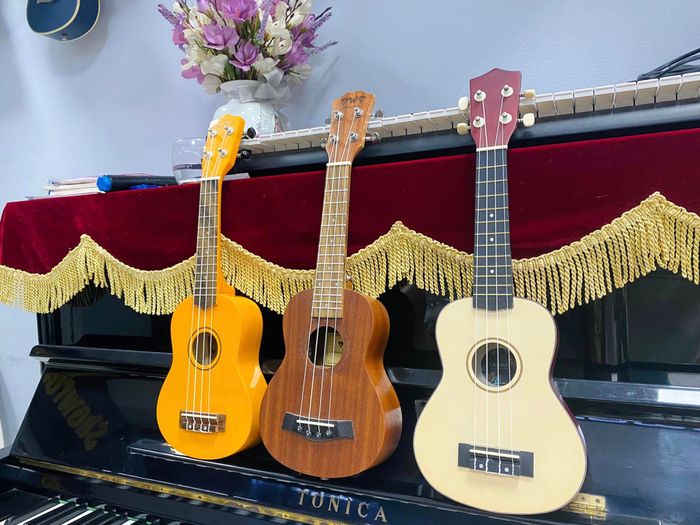 Hình ảnh Trung Tâm Âm Nhạc Sầm Sơn 2