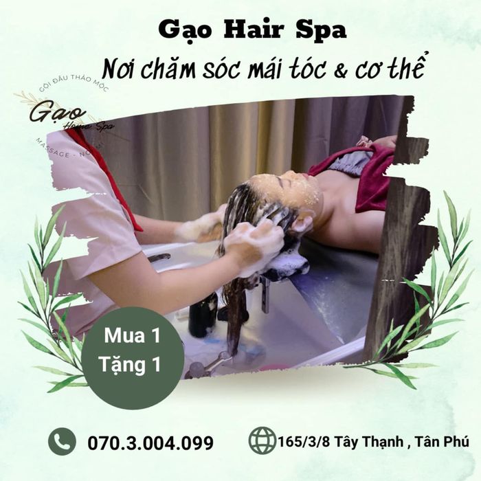 Mộc - Gội đầu dưỡng sinh hình 2