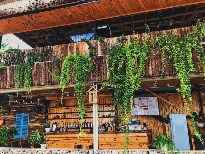 Hình ảnh 2 của Wood Coffee & Juice - Nha Trang