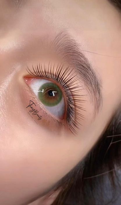 Hình ảnh Tiny Beauty số 1