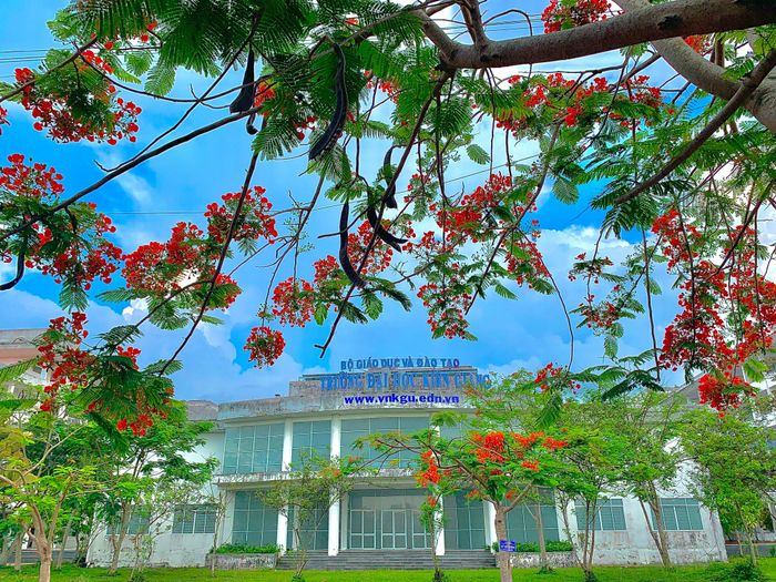 Hình ảnh Trường Đại học Kiên Giang 1