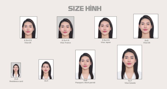 Lốp Xe Hải Triều ảnh 1