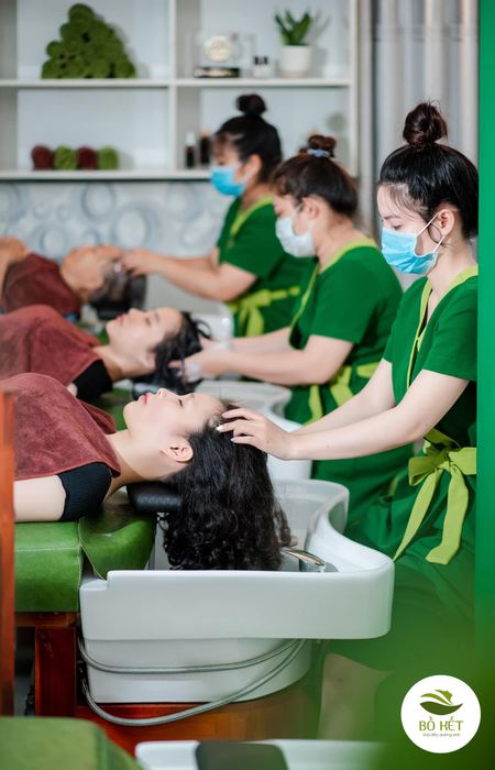 Gội Đầu Dưỡng Sinh - Bồ Kết - Hình 1