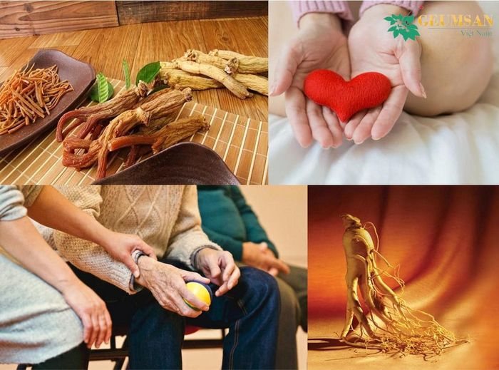 Hình ảnh Nhân Sâm Geumsan số 2