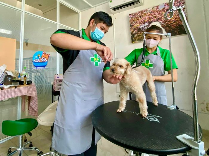 Hình ảnh Bệnh viện Thú Y Petcare 1
