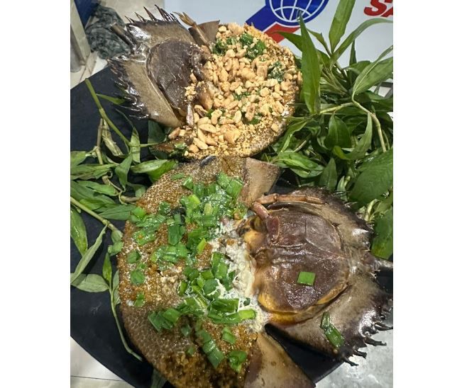 Nhà Hàng Hải Sản Sân Vườn Ốc Quyên 2 - Hình 2