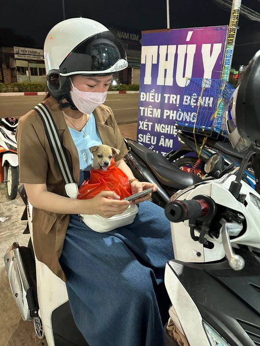 Hình ảnh Phòng khám thú y SONGIAVET 2