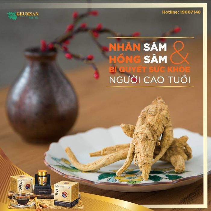 Hình ảnh Nhân Sâm Geumsan số 1