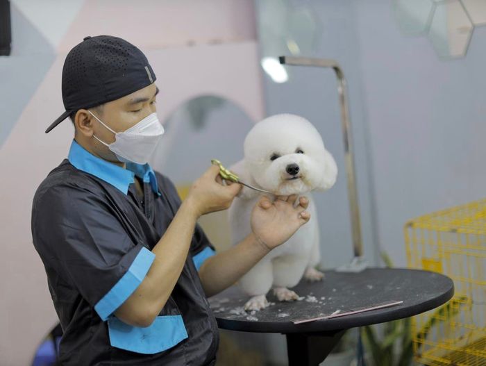 Hình ảnh Phòng Khám Thú Y Xuyên Mộc 1