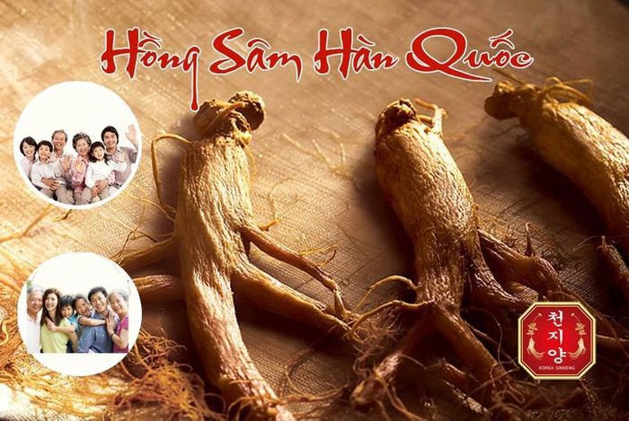 Hình ảnh Hồng Sâm Hàn Quốc K-GIN số 1