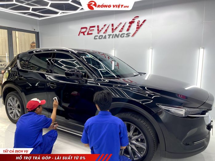 Rồng Việt Ô Tô Vũng Tàu - Hình 2