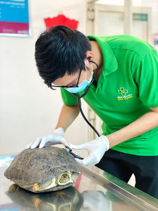 Hình ảnh Bệnh viện Thú Y Petcare 2