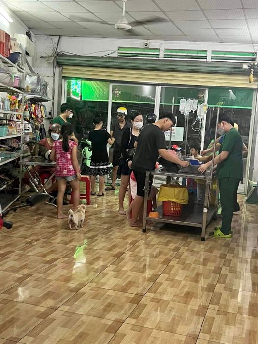 Phòng Khám Thú Y Pet-Vet hình ảnh 2