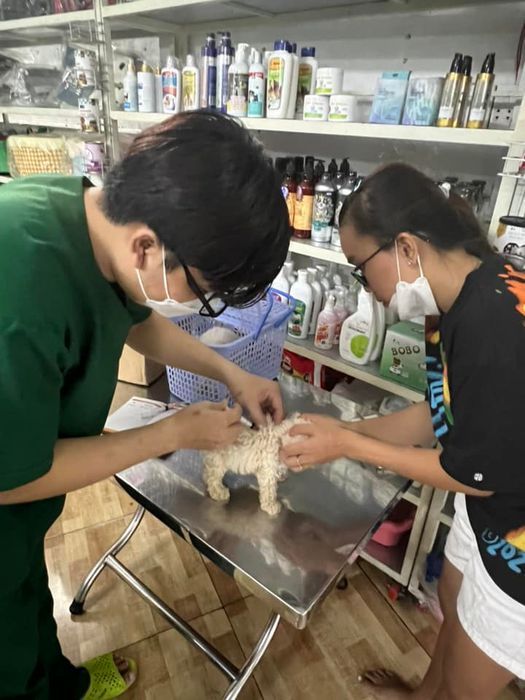 Phòng Khám Thú Y Pet-Vet hình ảnh 1