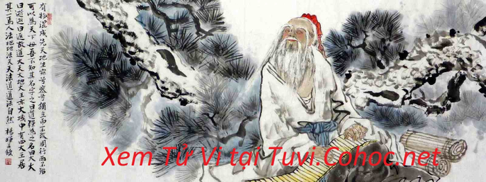 Hình ảnh Tử Vi Cổ Học 2