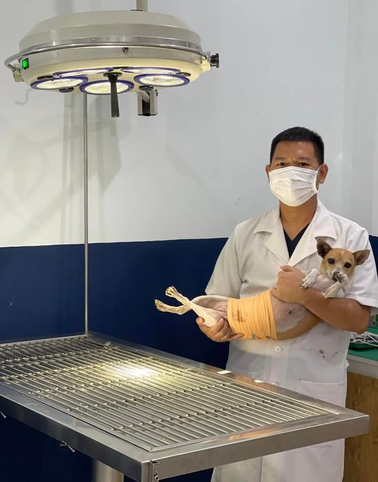 Hình ảnh Bệnh Viện Thú Y Bà Rịa 2